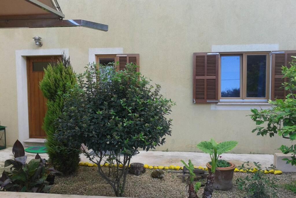 Finca Unifamiliar Sa Font *
